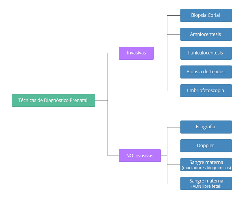 Técnicas de Diagnóstico Prenatal - La genética al alcance de todos,  Genética, herencia, malformaciones congénitas, enfermedades hereditarias,  genes, abortoLa genética al alcance de todos, Genética, herencia,  malformaciones congénitas, enfermedades ...